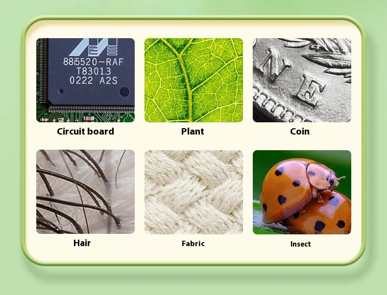 🔬 Lilla Utforskaren™ – Elektroniskt Barnmikroskop (1000x)