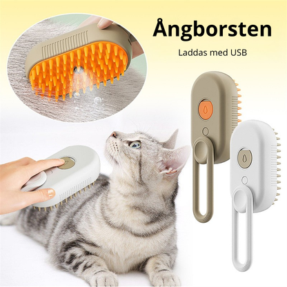 Ångborsten